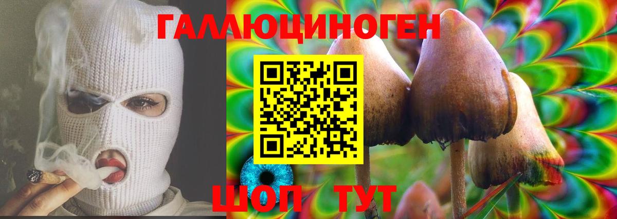 Шелехов  Галлюциногенные грибы мухоморы  Вход с VPN 